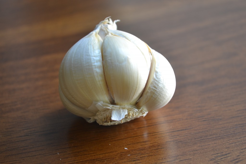 Peeled Head of Garlic