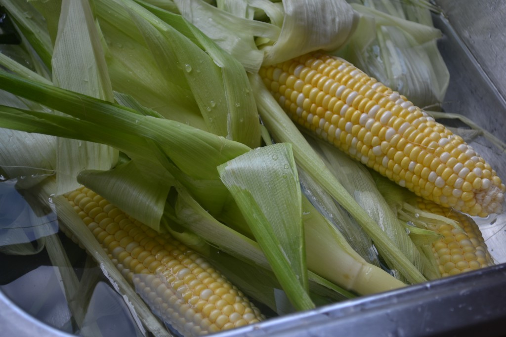 Corn on the Cob with Husks