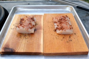Backyard Provisions Plank Review