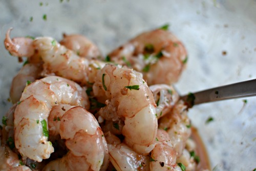 Seasoned Shrimp