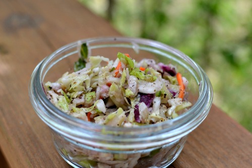 Cole Slaw for a Side Dish