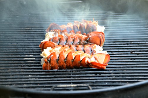 Grilled lobster Tails