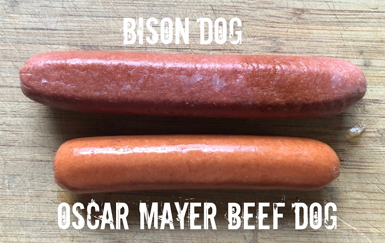 Bison Dog vs Hot Dog